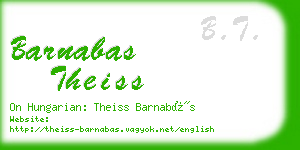 barnabas theiss business card